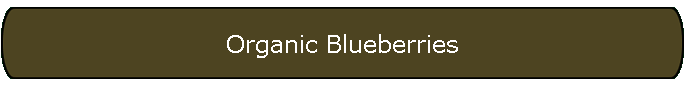 Organic Blueberries