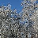 IMG_5042c