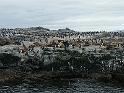 PICT0223